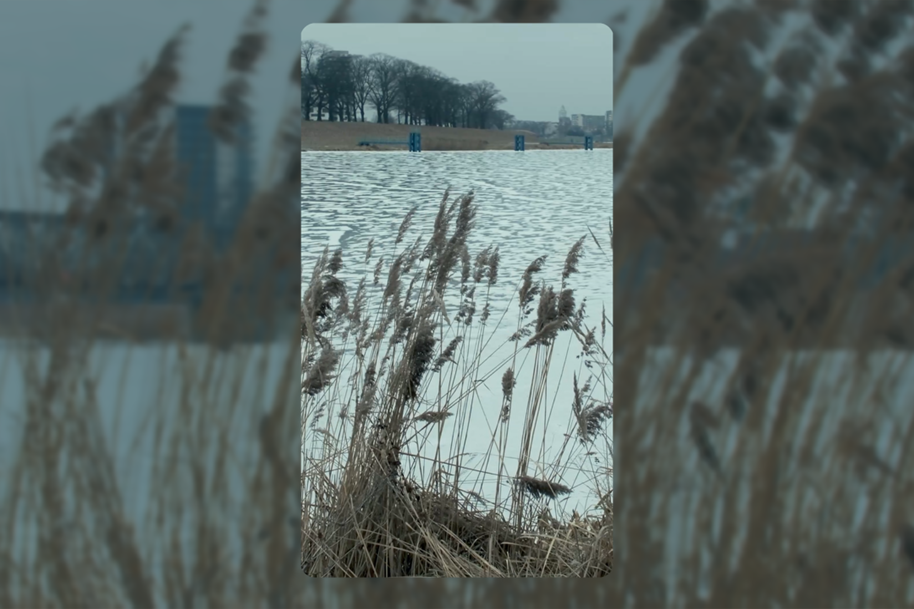 Rolki znad Odry do mediów społecznościowych